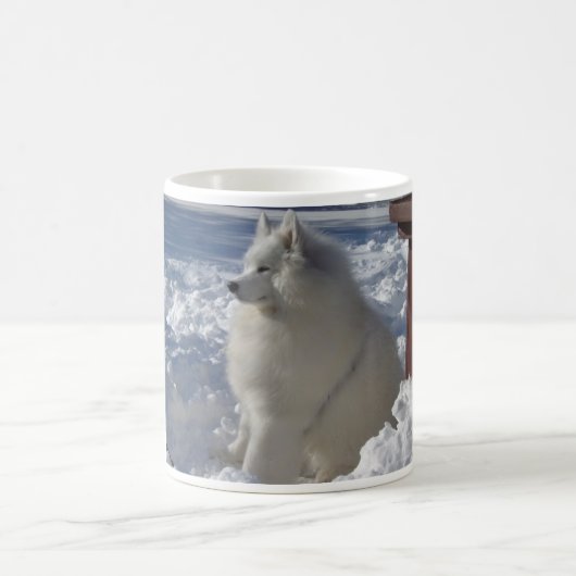 zeus_snow_21dec09_1 kaffeetasse (Mittel)