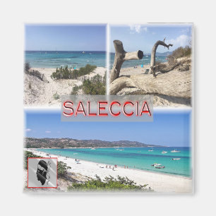 zFR006 SALECCIA PLAGE, Corsica, Fridge Magnet