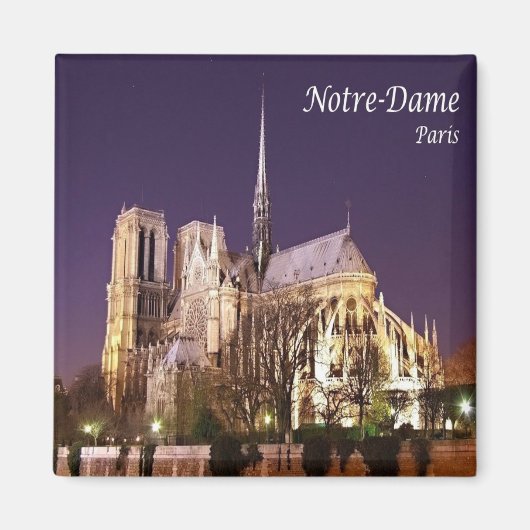 zFR055 NOTRE-DAME, Paris, Frankreich, Kühlschrank Magnet (Vorne)