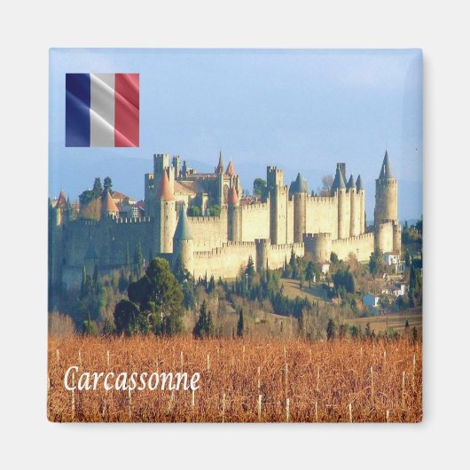 zFR143 CARCASSONNE, Frankreich, Fridge Magnet (Vorne)