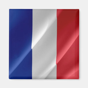 zGP002 GUADELOUPE, Waving Flag, America, Fridge Magnet