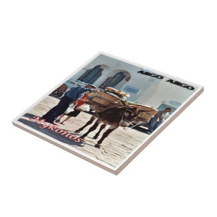 zGR119 MYKONOS Donkey, Griechenland, Fliese