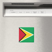 zGY001 GUYANA FLAG, Amerika, Kühlschrank Magnet (In Situ (Geschirrspüler))