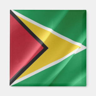 zGY002 GUYANA, Waving Flag, Amerika, Kühlschrank Magnet
