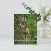 Zhangjajie Nationalpark Postcard Postkarte (Stehend Vorderseite)