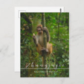 Zhangjajie Nationalpark Postcard Postkarte (Vorne/Hinten)