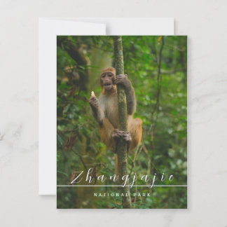 Zhangjajie Nationalpark Postcard Postkarte