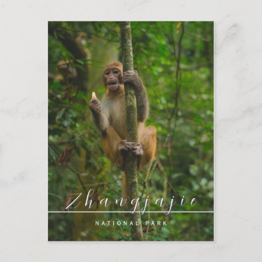 Zhangjajie Nationalpark Postcard Postkarte (Vorderseite)