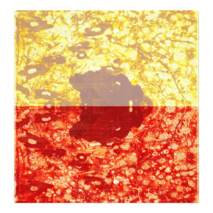 Zhao Chang - Bild des neuen Jahres (modifiziert) Fotodruck