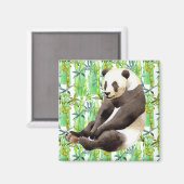 Zhen Zhen über die Panda auf Bamboo Magnet (Vorderseite/Rückseite)