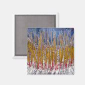 Zhongdian, Yunnan - China Magnet (Vorderseite/Rückseite)