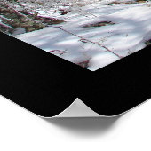 zHot Springs Nationalpark, Eisschneehütte Poster (Ecke)