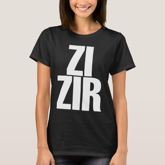 Zi Zir Big Obvious Nonbinary Pronouns T-Shirt (Vorderseite)