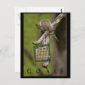 ZIALS Inspirationslustige Eichhörnchen-Postkarten Postkarte (Vorne/Hinten)