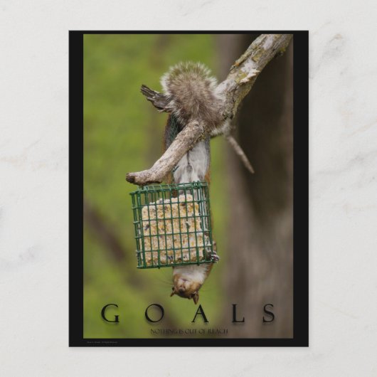 ZIALS Inspirationslustige Eichhörnchen-Postkarten Postkarte (Vorderseite)