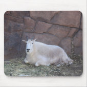 Ziat Mousepad (Vorne)