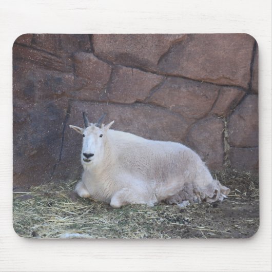 Ziat Mousepad (Vorne)