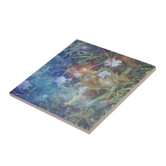 Zichorie-Gras-Fliese Fliese (Seite)