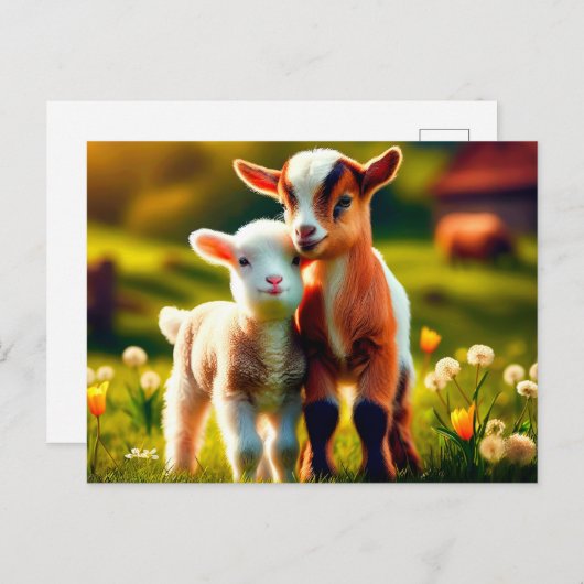 Zicklein Postkarte (Vorne/Hinten)