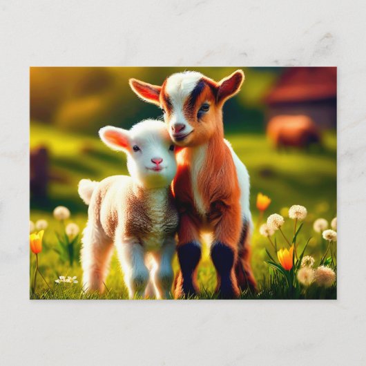 Zicklein Postkarte (Vorderseite)