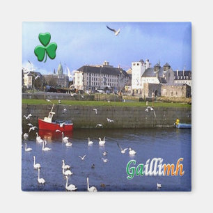zIE005 GALWAY GAILLIMH, Irland, Kühlschrank Magnet