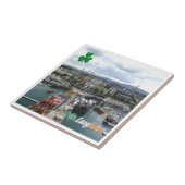 zIE006 DUN LAOGHAIRE Irland, Fliese (Seite)
