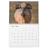 Ziege 2025 kalender (Mär 2026)