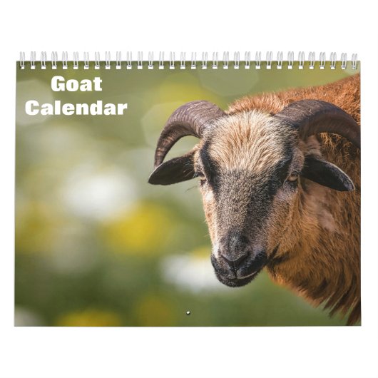 Ziege 2025 kalender (Titelbild)