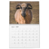 Ziege 2025 kalender (Mär 2027)