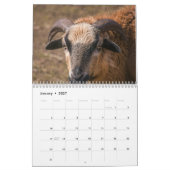 Ziege 2025 kalender (Jan 2027)