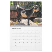 Ziege 2025 kalender (Feb 2027)