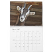 Ziege 2026 kalender (Mär 2027)