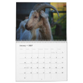 Ziege 2026 kalender (Jan 2027)