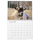 Ziege 2027 kalender (Jan 2027)