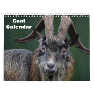 Ziege 2027 kalender