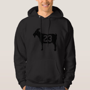 Ziege 23 Vintage Jordan Hoodie