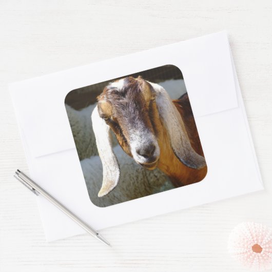 Ziege 2 Aufkleber (Umschlag)