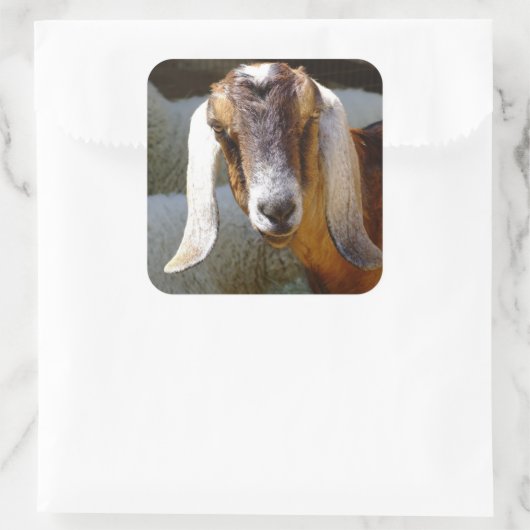 Ziege 2 Aufkleber (Tasche)