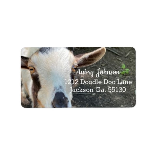 Ziege Adressaufkleber (Vorne)