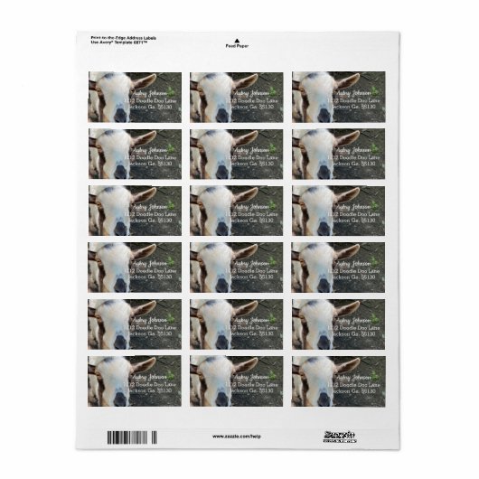 Ziege Adressaufkleber (Vorne)