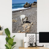 Ziege am Strand Poster (Heimbüro)