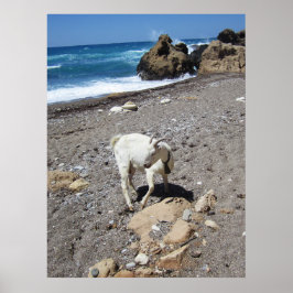 Ziege am Strand Poster