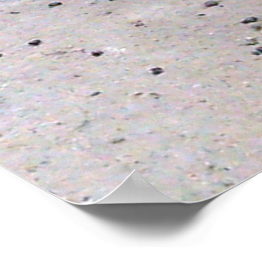 Ziege auf Pfad Poster (Ecke)