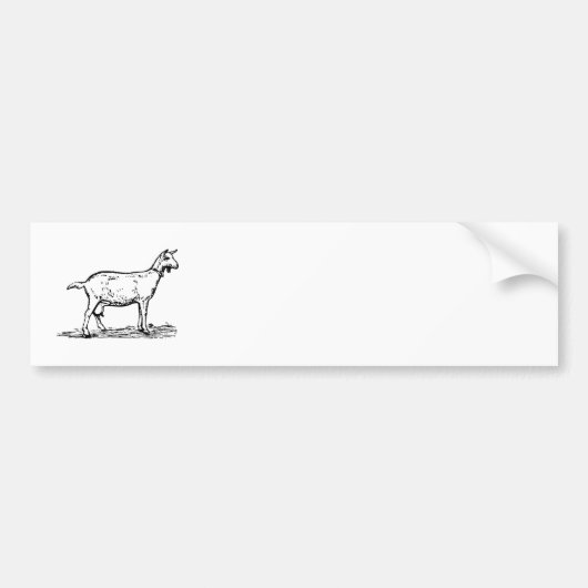 Ziege Autoaufkleber (Vorne)