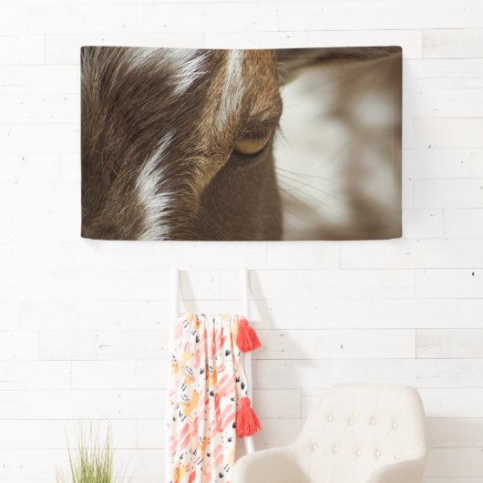 Ziege Banner (Insitu)