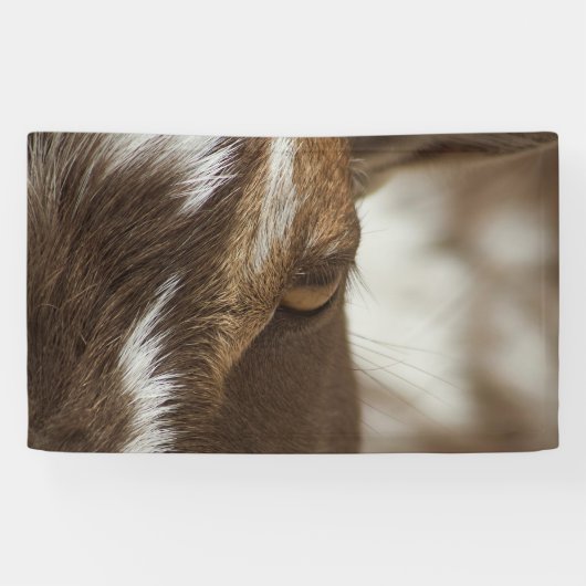 Ziege Banner (Horizontal)