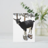 Ziege Blume 2014 Postkarte (Stehend Vorderseite)