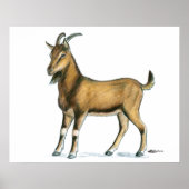 Ziege: braun poster (Vorne)