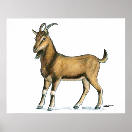 Ziege: braun poster (Vorne)