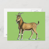 Ziege: braun postkarte (Vorne/Hinten)